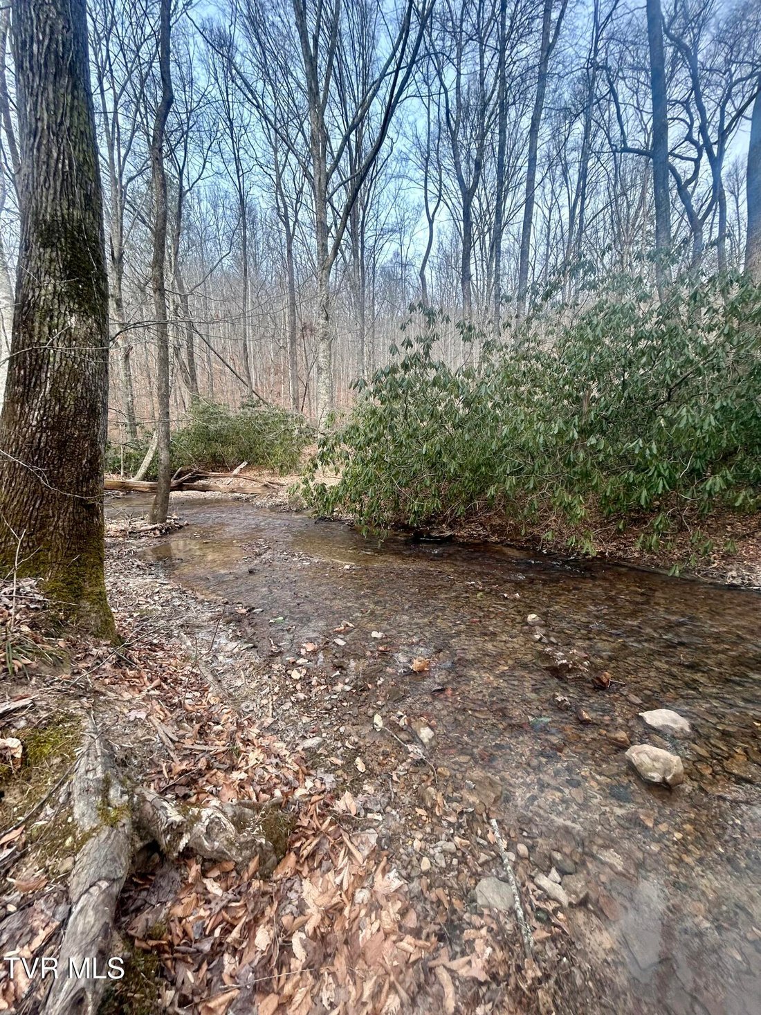 Land in Bean Station, Tennessee, United States 5 - 16945976