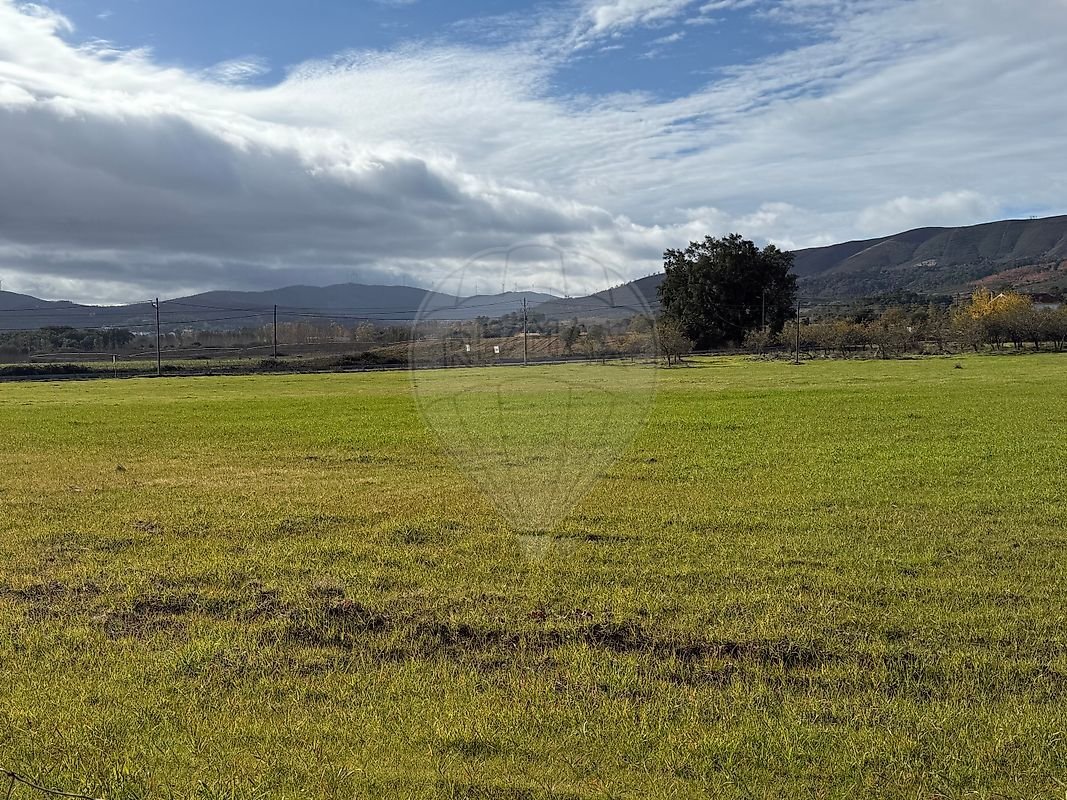 Land in Telhado, Castelo Branco District, Portugal 5 - 17055334