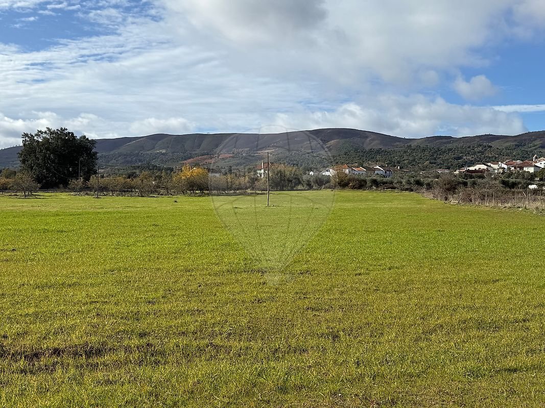 Land in Telhado, Castelo Branco District, Portugal 4 - 17055334