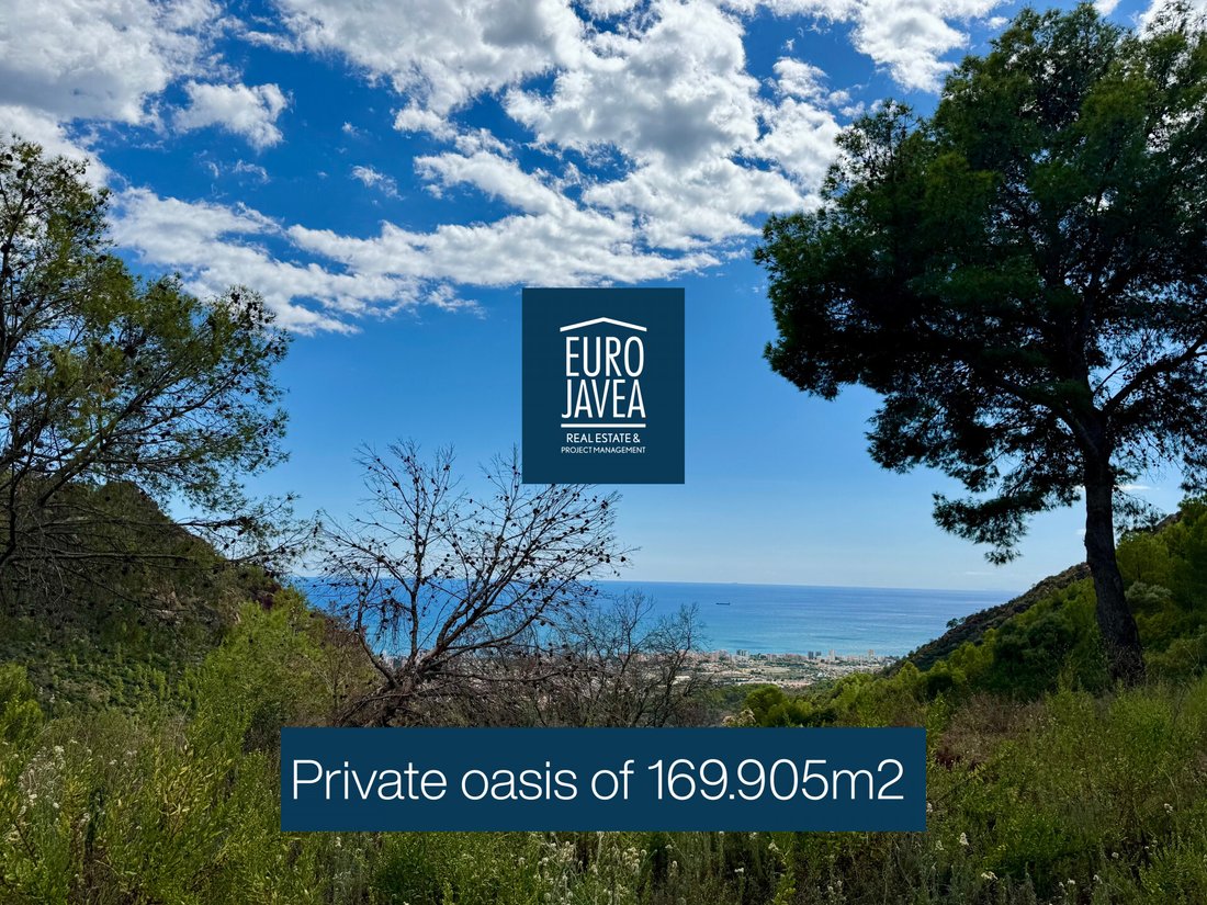 Villa in Benicassim, Valencian Community, Spain 1 - 16700474