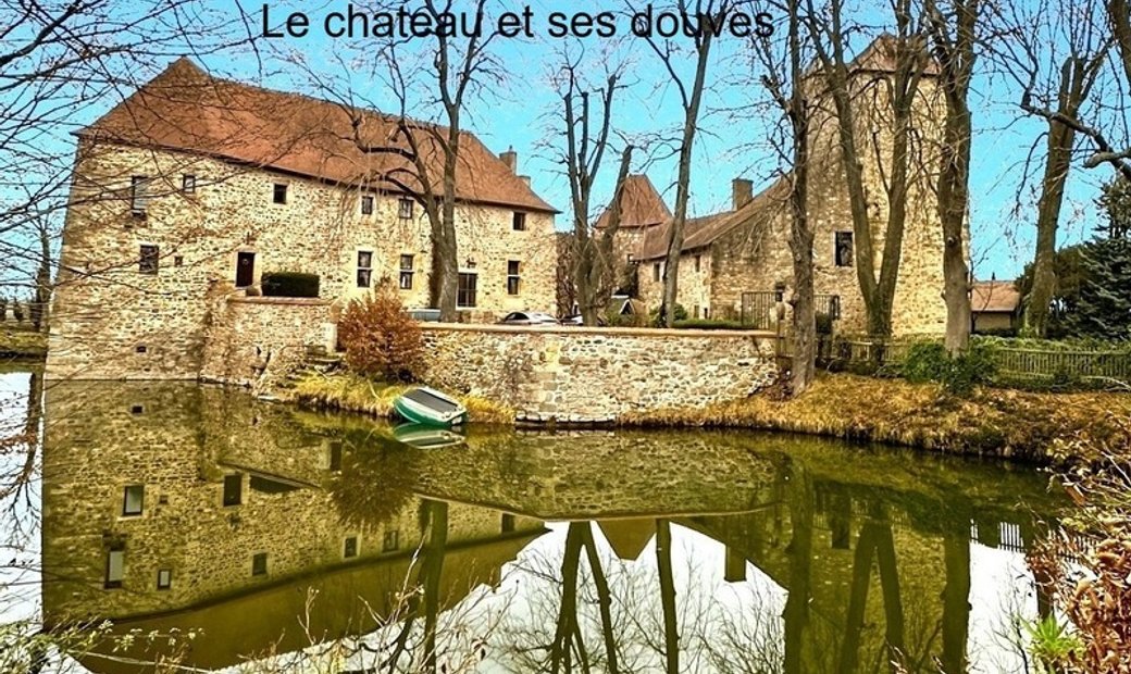 Castle For Sale In The Heart Of The Bourbonnais Countryside On A 1.5 Ha Park