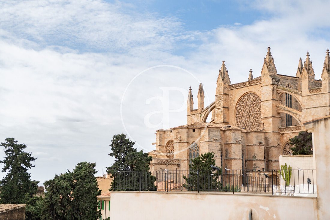 Apartment in Palma, Balearic Islands, Spain 1 - 17054002