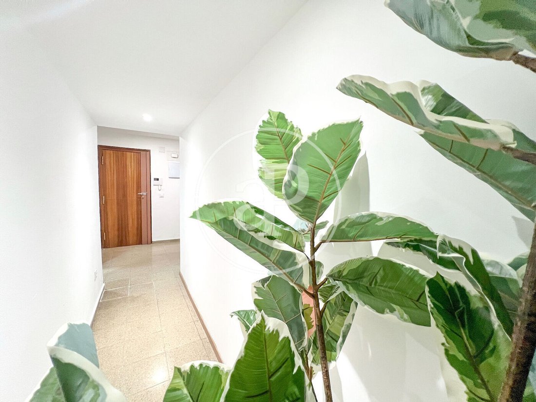 Apartment in Benimaclet, Valencia, Spain 4 - 17053979
