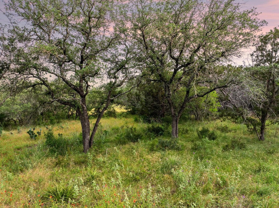 Land in Spicewood, Texas, United States 2 - 17052603