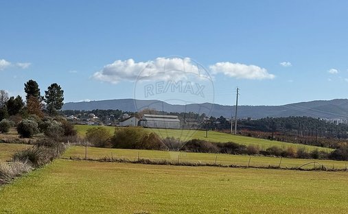 Terreno a Telhado, Distretto di Castelo Branco, Portogallo 1
