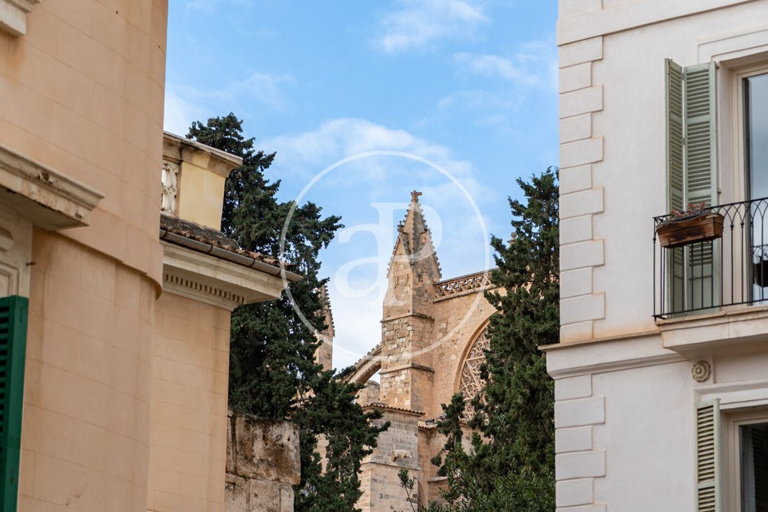 Apartment in Palma, Balearic Islands, Spain 4 - 17054002