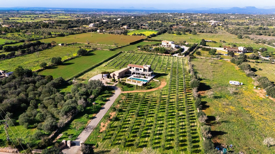 Finca a Ses Salines, Isole Baleari, Spagna 2 - 16976872