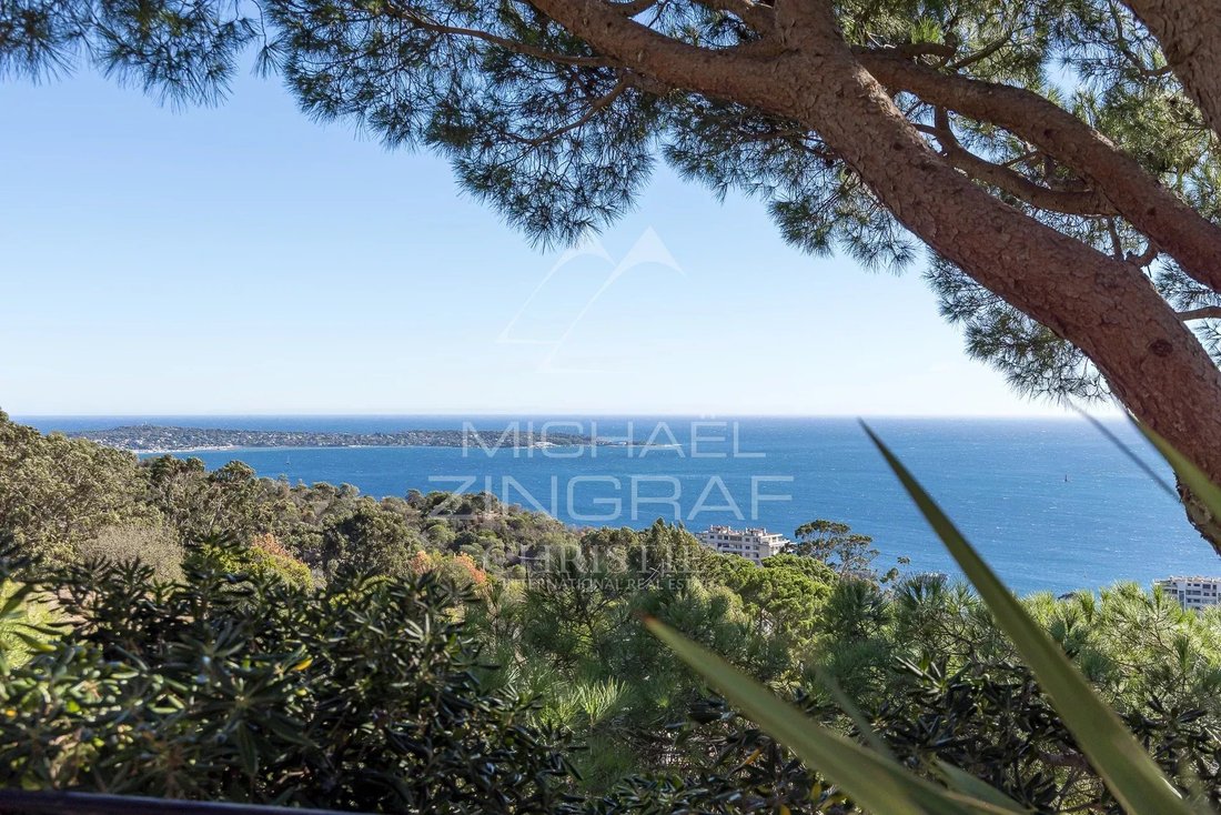 House in La Californie, Cannes, France 3 - 17048974