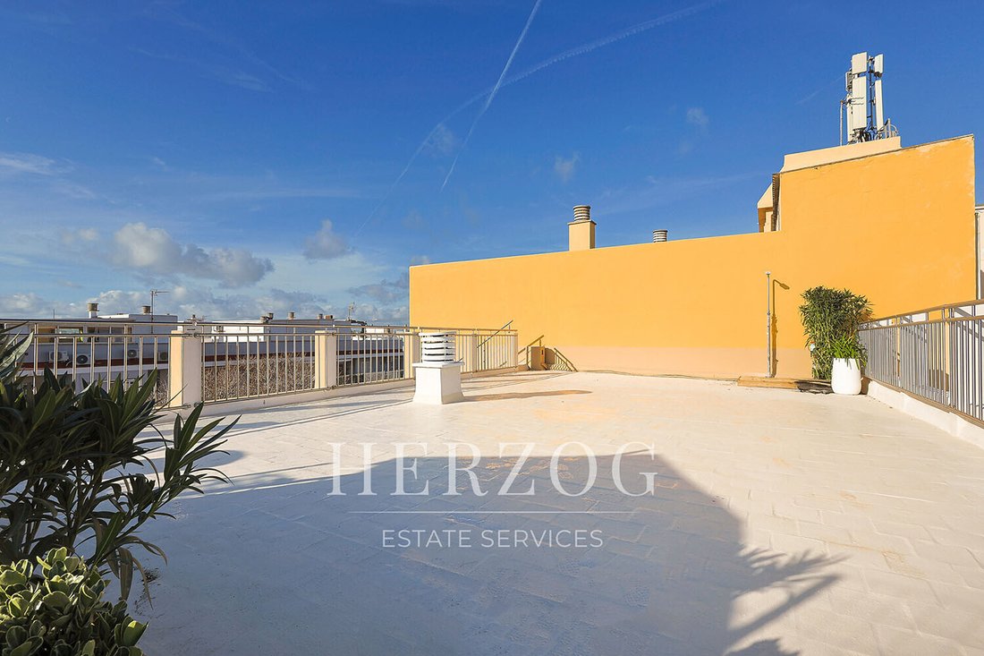Apartment in Palma, Balearic Islands, Spain 2 - 16937806