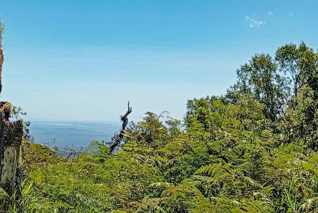 Land in Potrerillos Arriba, Chiriquí Province, Panama 4 - 17053475