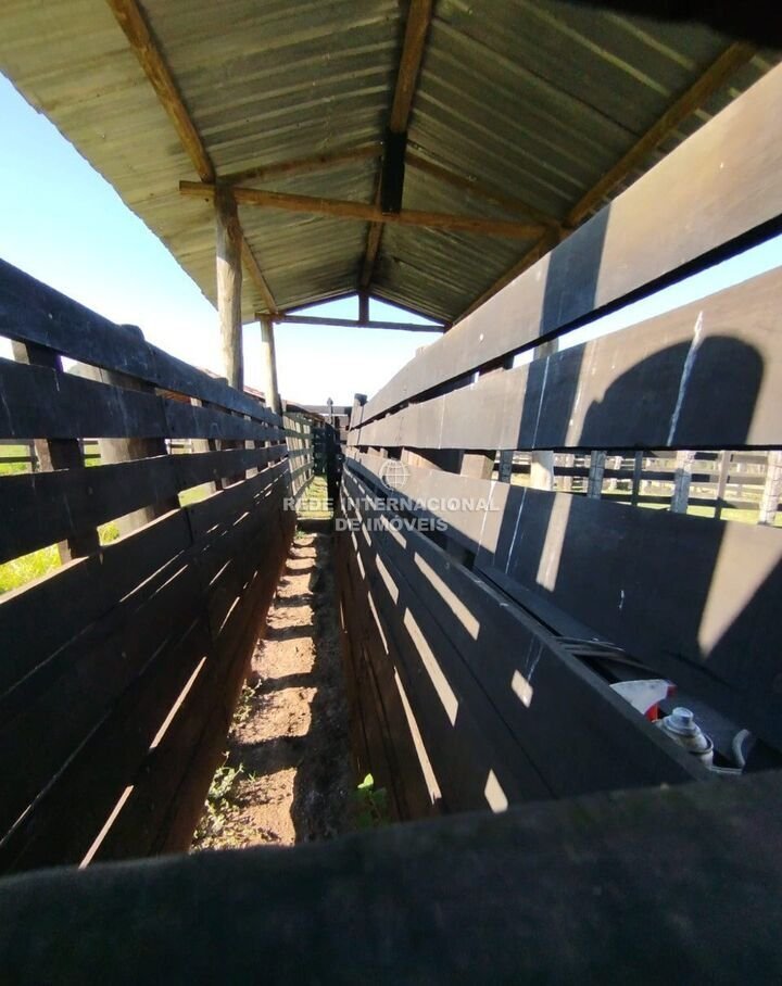 Farm Ranch in Capela do Alto, State of São Paulo, Brazil 5 - 17053899