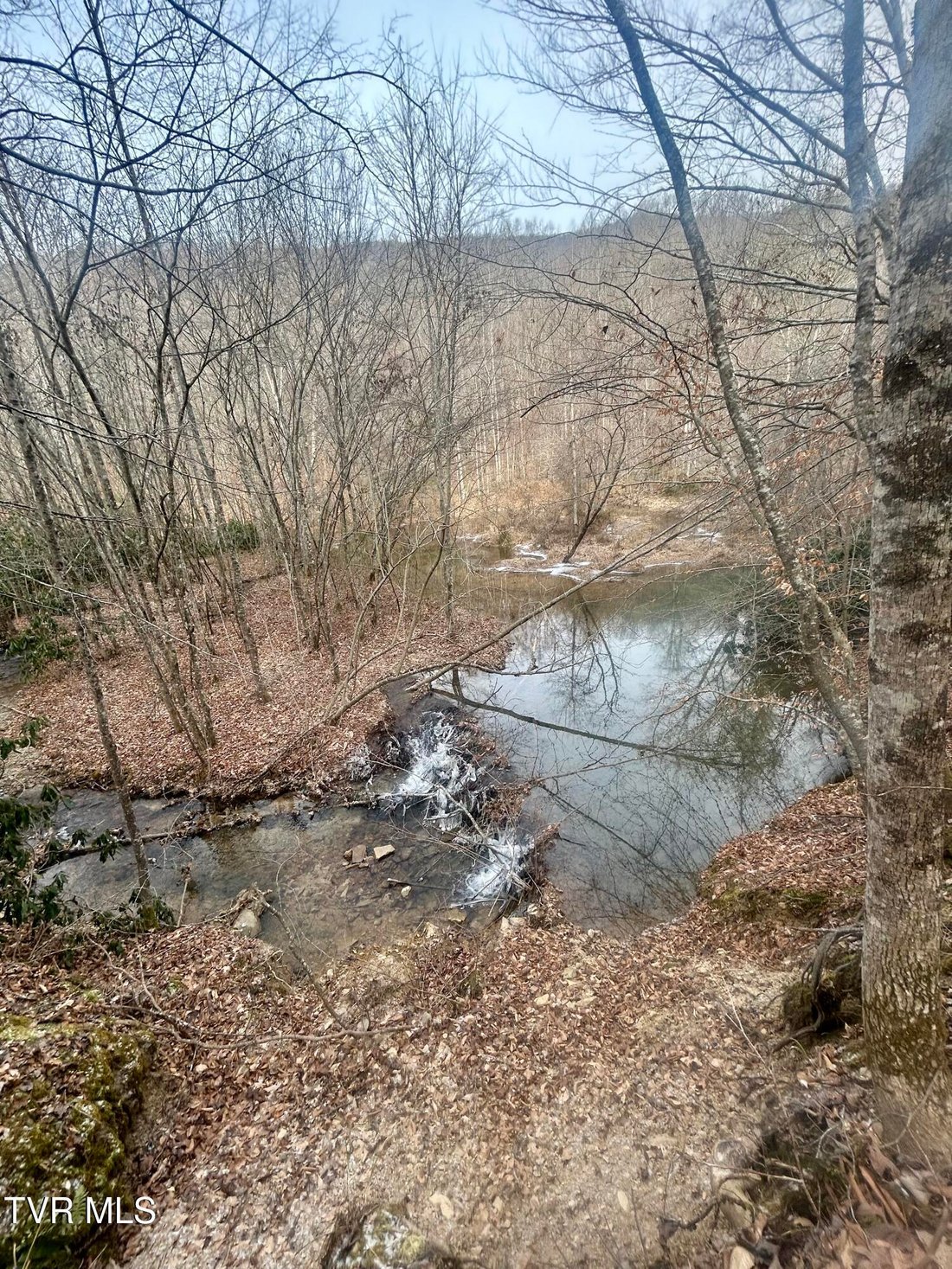 Land in Bean Station, Tennessee, United States 4 - 16945976