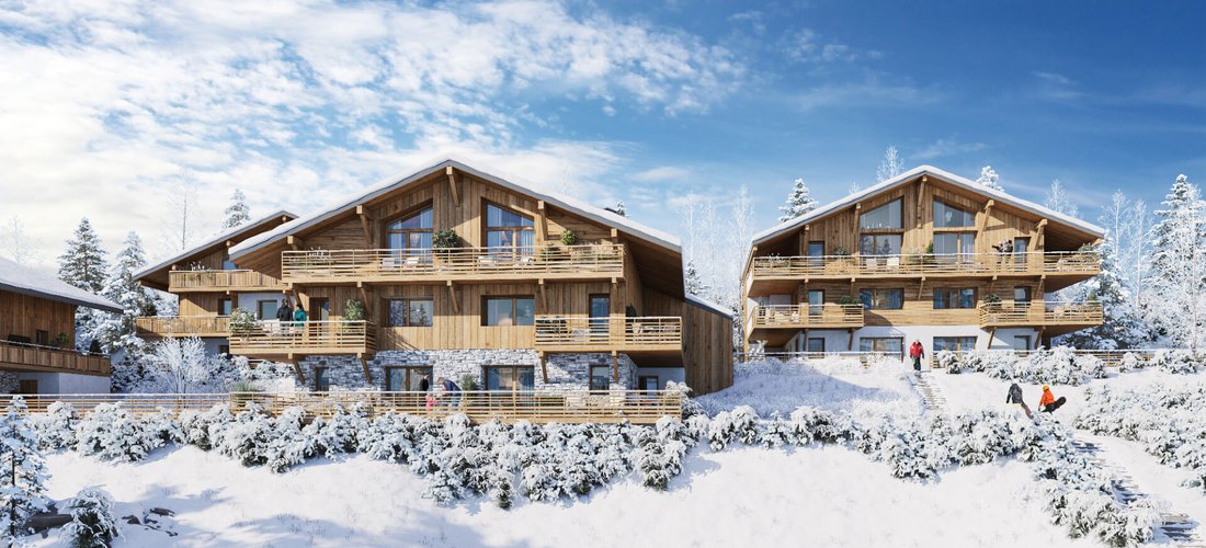 Apartment in Morzine, Auvergne-Rhône-Alpes, France 5 - 17048096