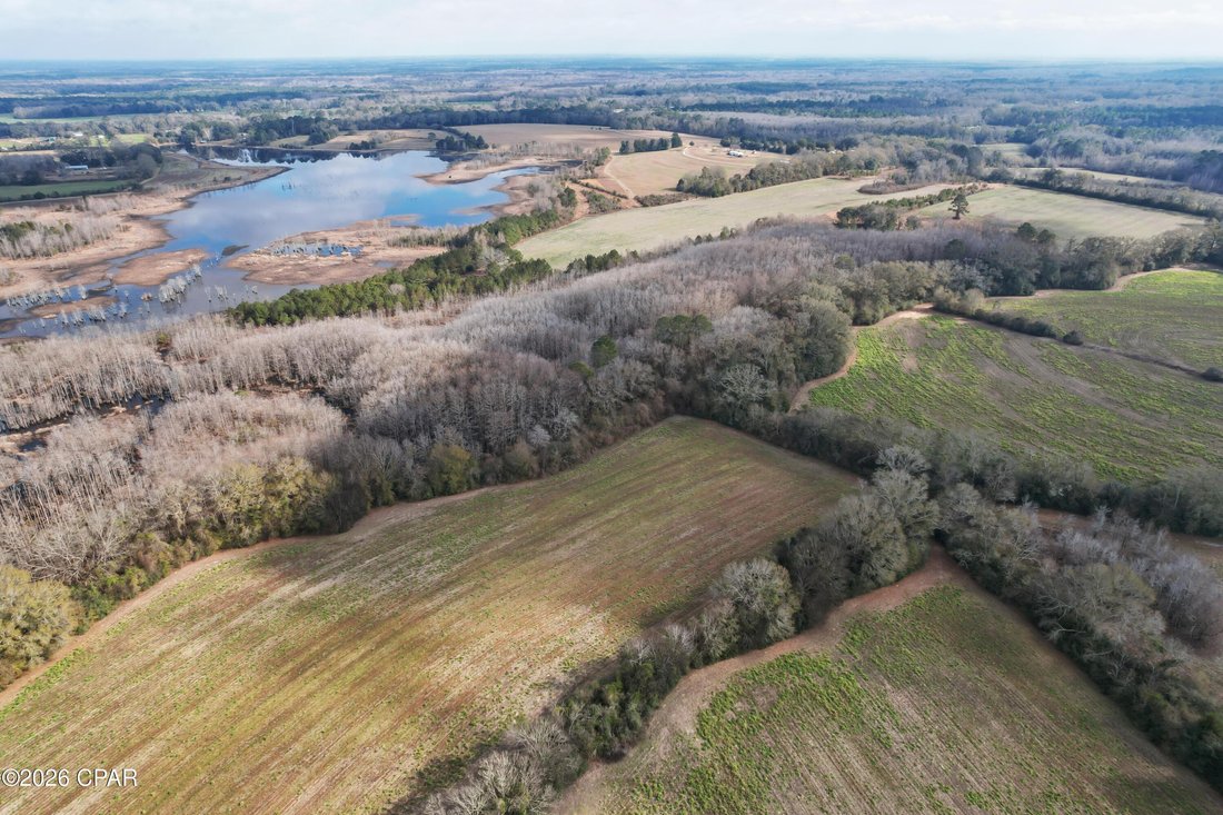 Terrain à Westville, Floride, États-Unis 3 - 17059902
