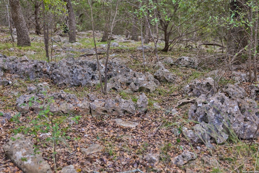 Land in Bulverde, Texas, United States 5 - 17059654