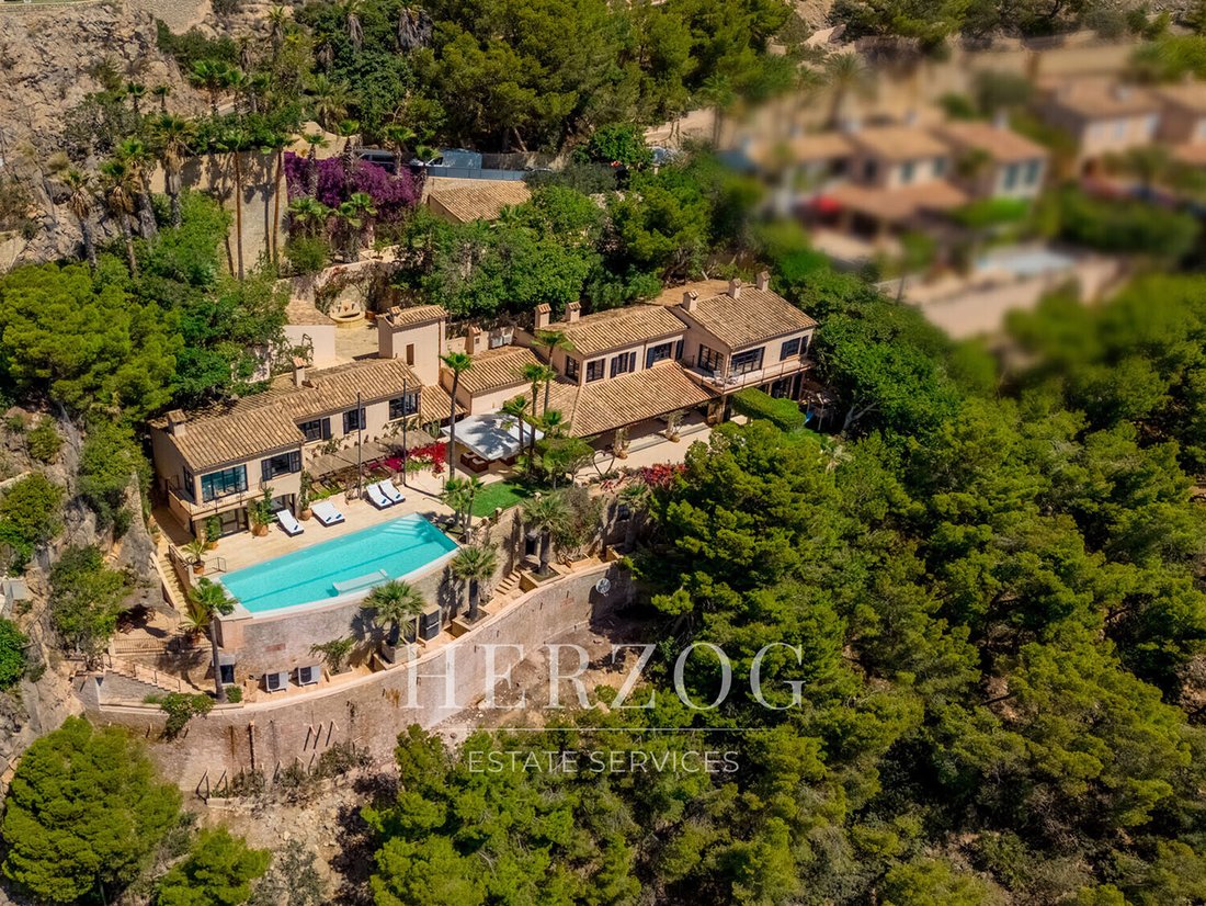 Villa in Port d'Andratx, Andratx, Balearic Islands 3 - 16981243
