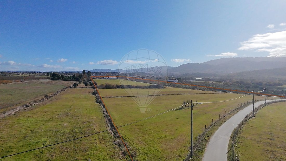 Terreno en Telhado, Distrito de Castelo Branco, Portugal 1 - 17055334