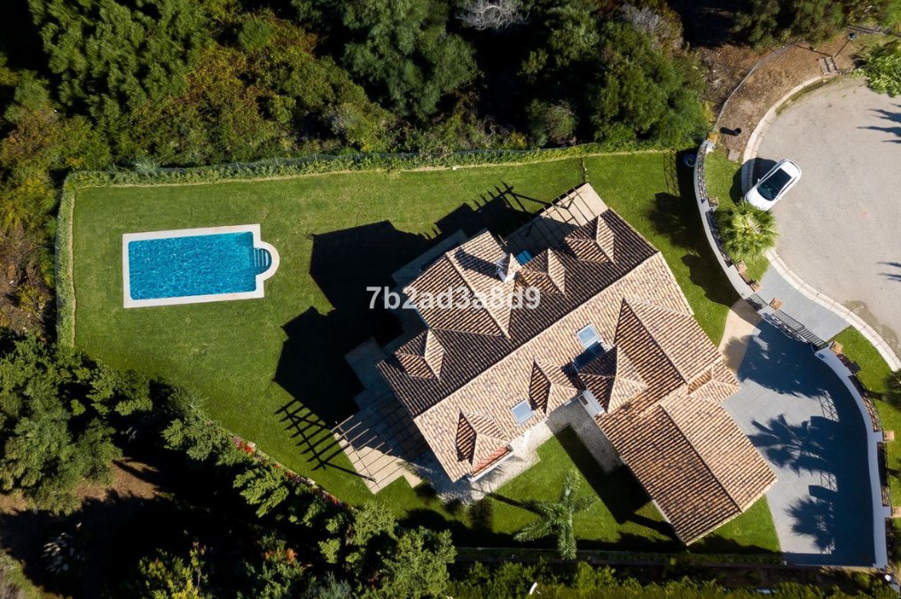 Villa in Sotogrande, San Roque, Andalusia 3 - 17053506