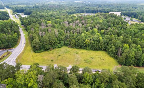 Land in Sharpsburg, Georgia, United States 1
