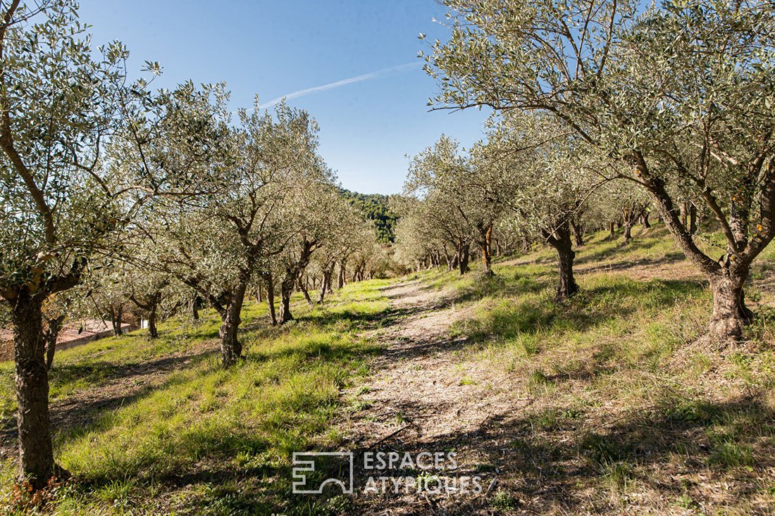 Villa in Manosque, Provence-Alpes-Côte d'Azur, France 1 - 16844216