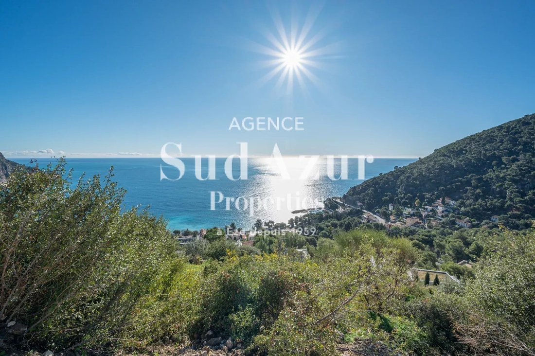 Land in Èze, Provence-Alpes-Côte d'Azur, France 3 - 11498053