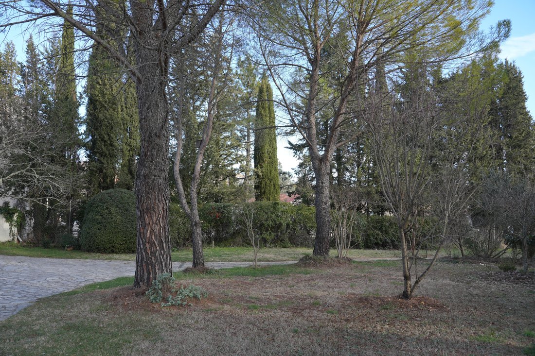 House in Saint-Martin-de-Londres, Occitania, France 3 - 17051832