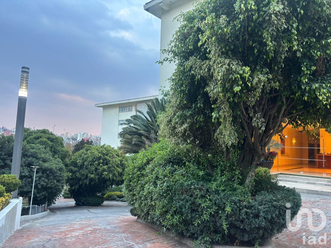 Apartment in Rincón Verde, State of Mexico, Mexico 5 - 17058675