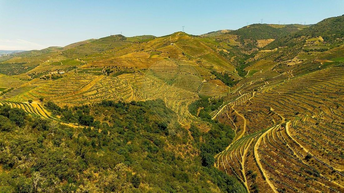 Farm Ranch in Ervedosa do Douro, Viseu District, Portugal 3 - 17054893