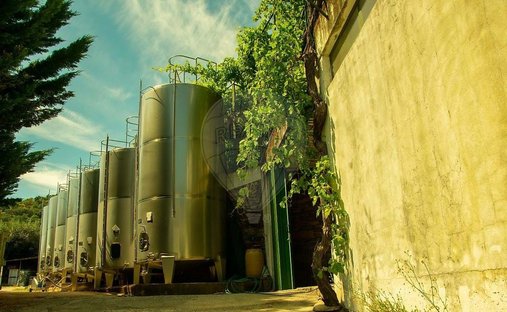 Azienda agricola a Ervedosa do Douro, Distretto di Viseu, Portogallo 1