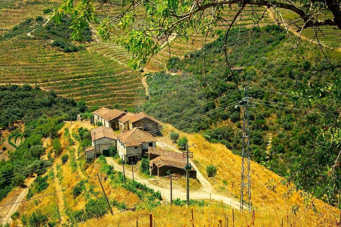 Farm Ranch in Ervedosa do Douro, Viseu District, Portugal 4 - 17054893
