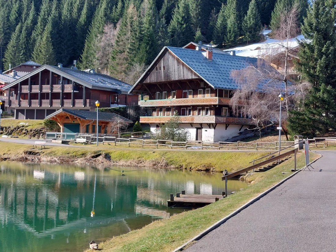 Farm Ranch in Châtel, Auvergne-Rhône-Alpes, France 2 - 17051675