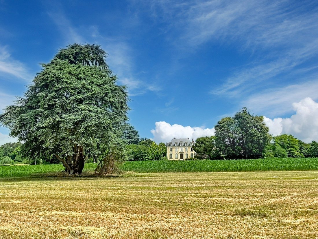 House in Baugé-en-Anjou, Pays de la Loire, France 4 - 16479981