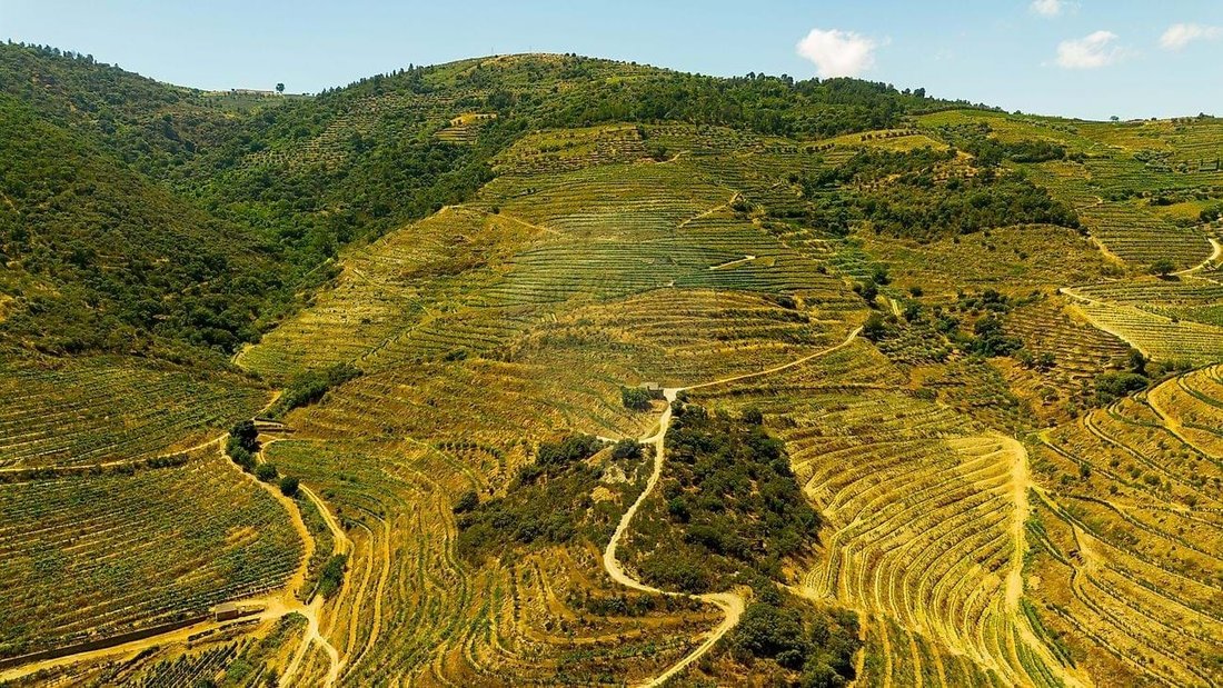 Farm Ranch in Ervedosa do Douro, Viseu District, Portugal 5 - 17054893