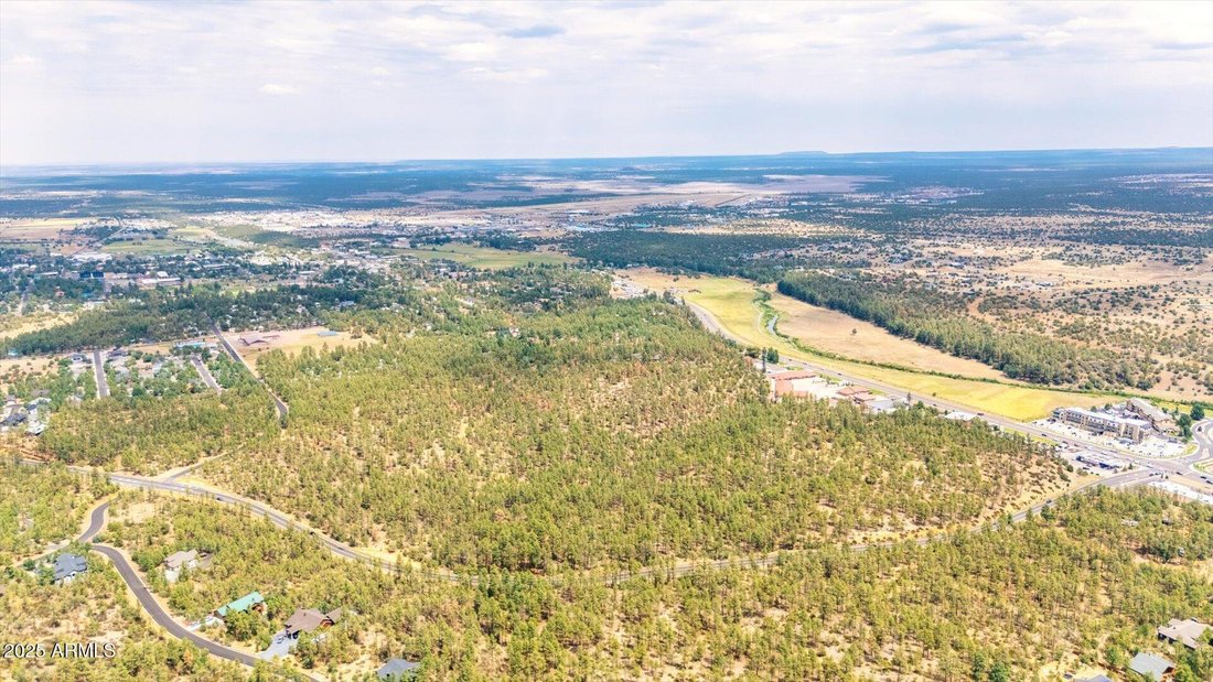 Land in Show Low, Arizona, United States 5 - 17059652