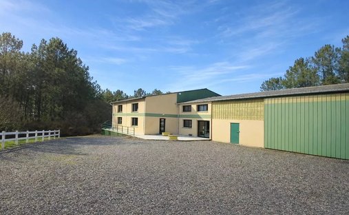House in Montguyon, Nouvelle-Aquitaine, France 1