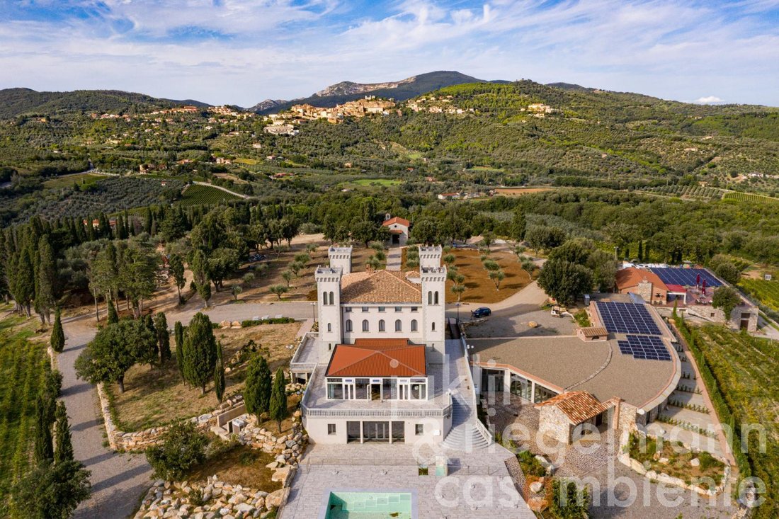 Castle in Filzi - Shangay, Livorno, Tuscany 3 - 17060375