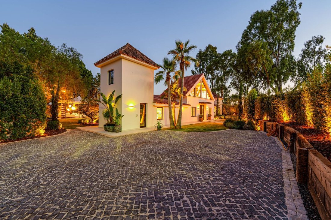 Villa in Puerto Banus, Marbella, Spain 3 - 16084118