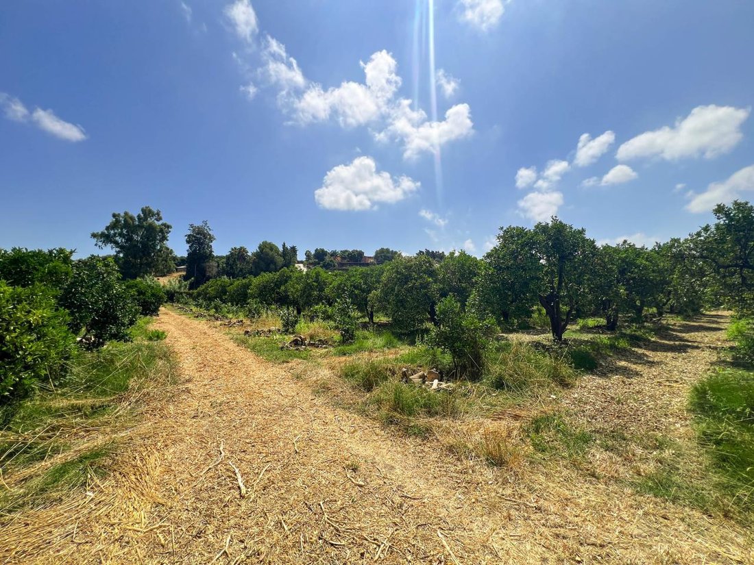 Land in San Martin del Tesorillo, Andalusia, Spain 2 - 15924184