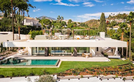 Estate in Nueva Andalucia, Marbella, Spain 1