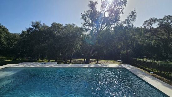 Villa in Sotogrande, San Roque, Andalusia 2 - 16540026