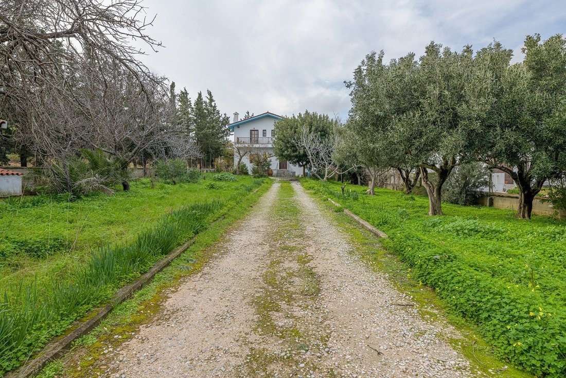 House in Drafi, Pikermi, Attica 1 - 17061187