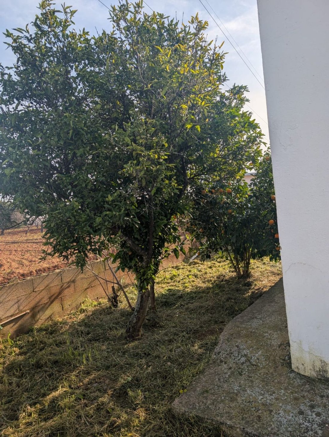 Finca in Marratxi, Balearic Islands, Spain 2 - 17061090
