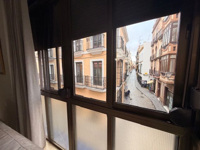 Apartment in Casco Antiguo, Seville, Spain 3 - 17061044