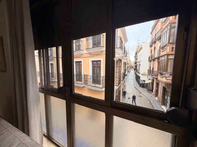 Apartment in Casco Antiguo, Seville, Spain 4 - 17061044