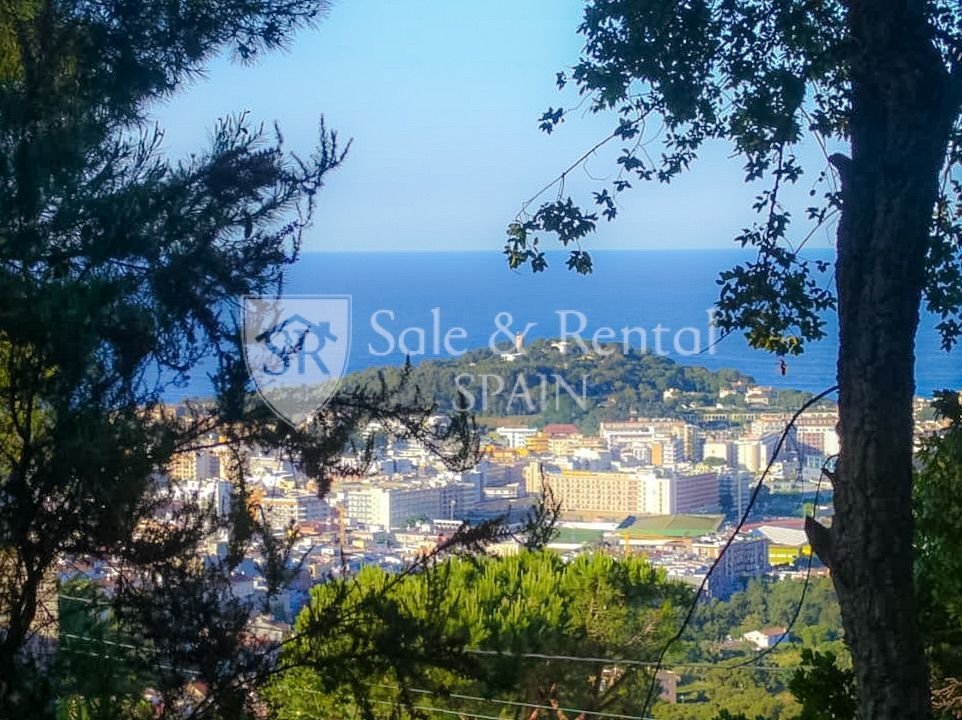 Chalet in Lloret de Mar, Catalonia, Spain 2 - 16965322