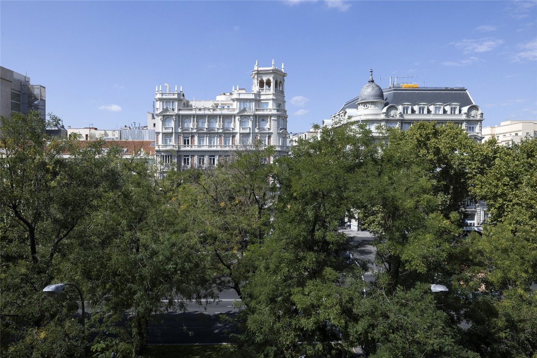 Apartment in Barrio Salamanca, Madrid, Spain 3 - 17062045