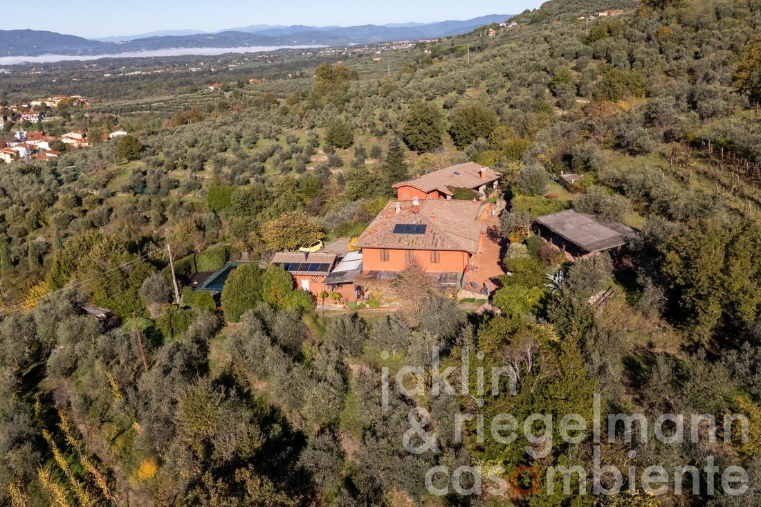 House in Castelfranco Piandisco, Tuscany, Italy 5 - 17061777