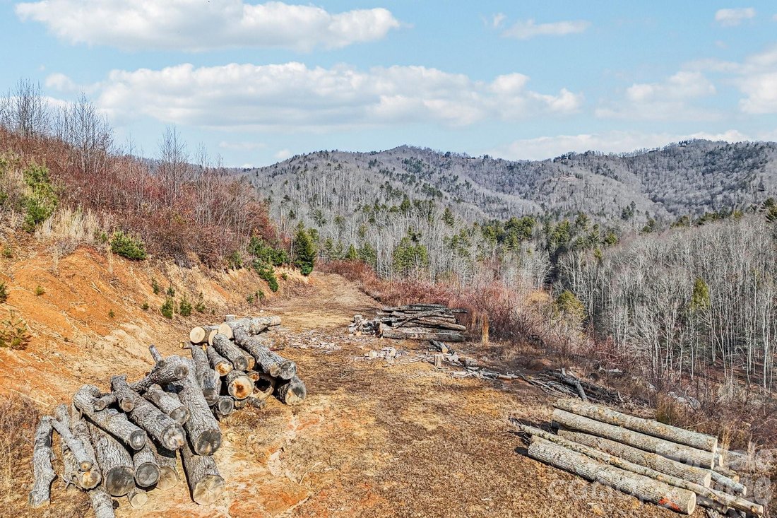Land in Clyde, North Carolina, United States 3 - 17054851