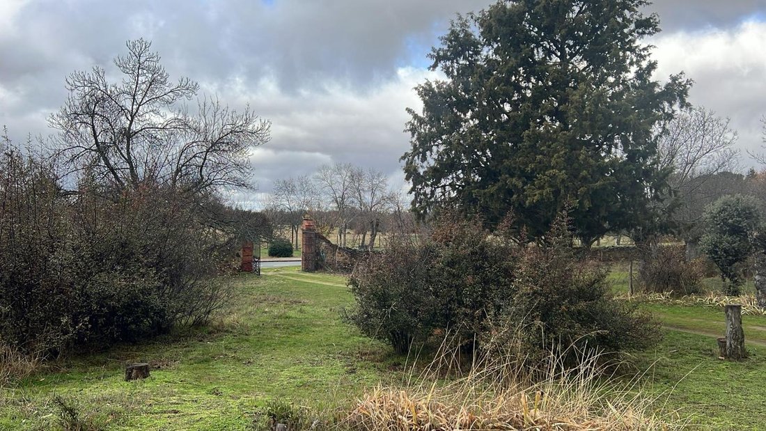 Villa in Navas de Riofrio, Castile and Leon, Spain 4 - 17003643