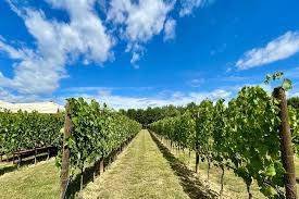 Estate in Strada In Chianti, Greve in Chianti, Tuscany 1 - 17051565